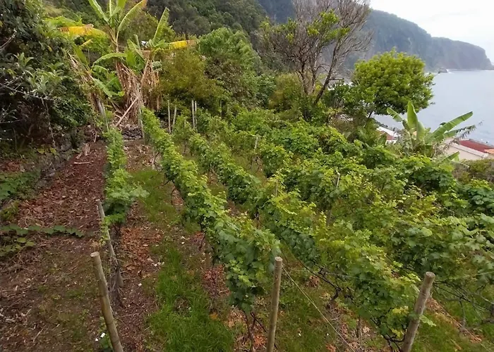 Casa vacanze Palheiro Do Farrobo *