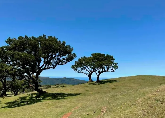 Palheiro Do Farrobo 別荘 *